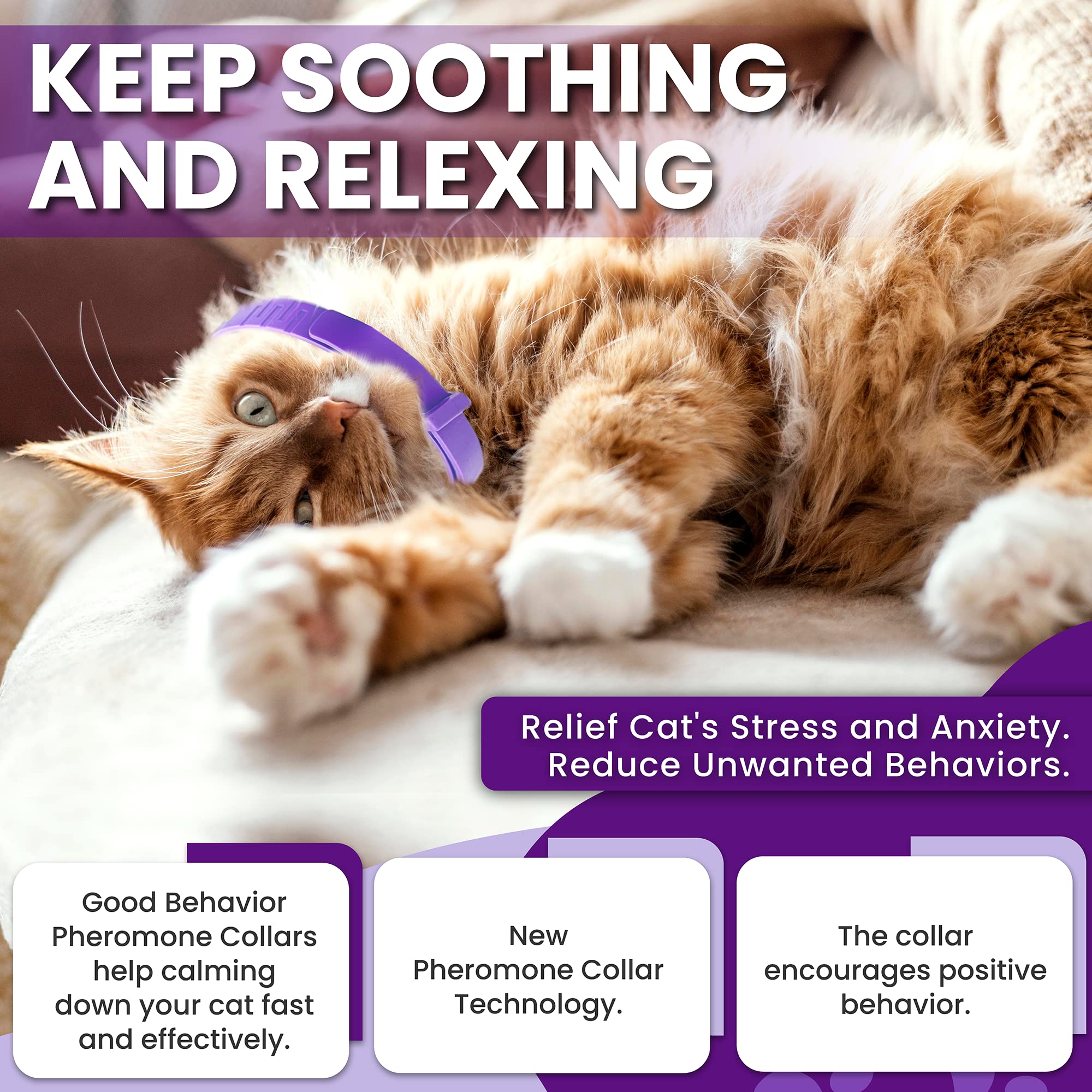 TriOak adjustable pheromone collar for kittens to adults ensuring comfortable wear.