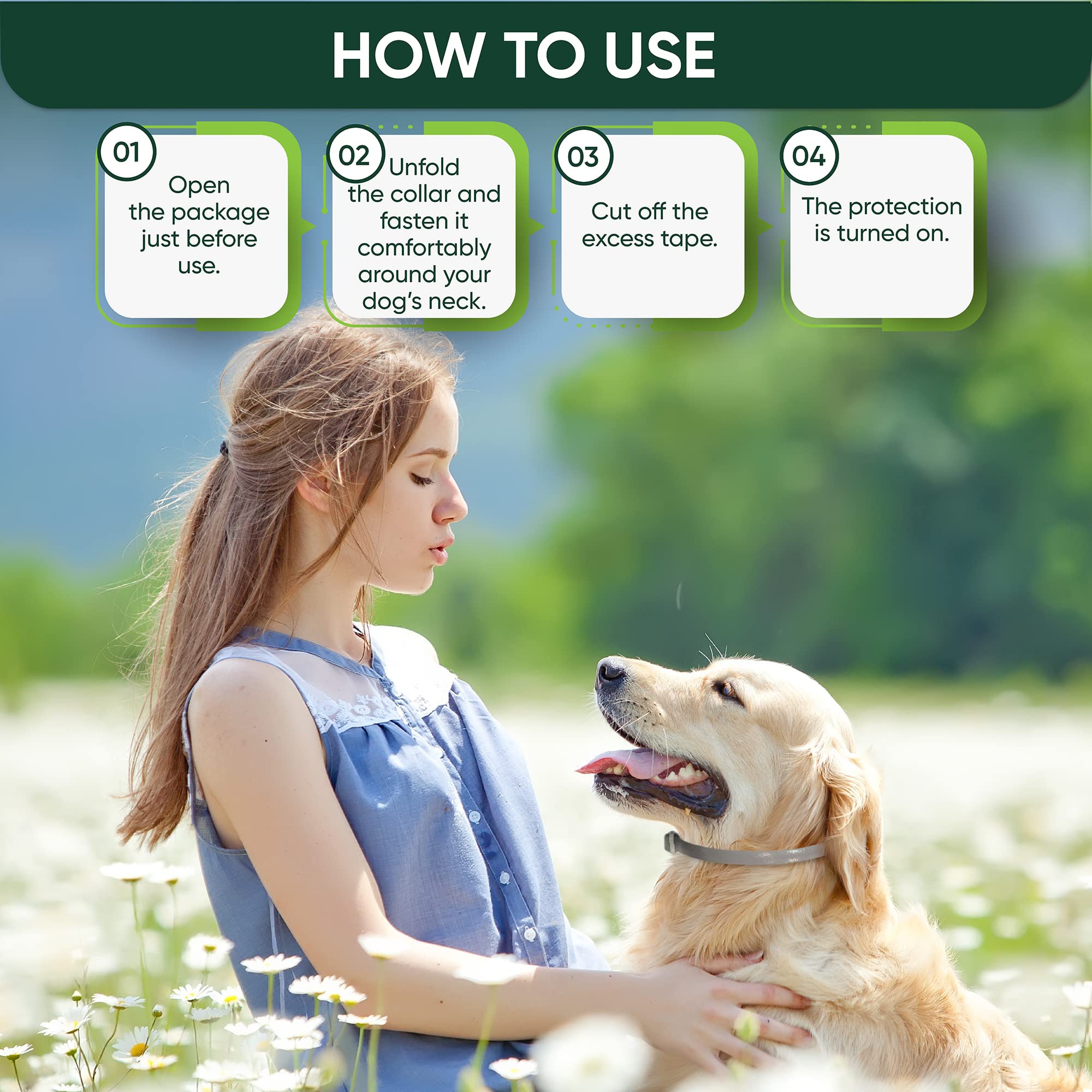 TriOak puppy-to-large dog adjustable collar with easy trim feature for a perfect fit.