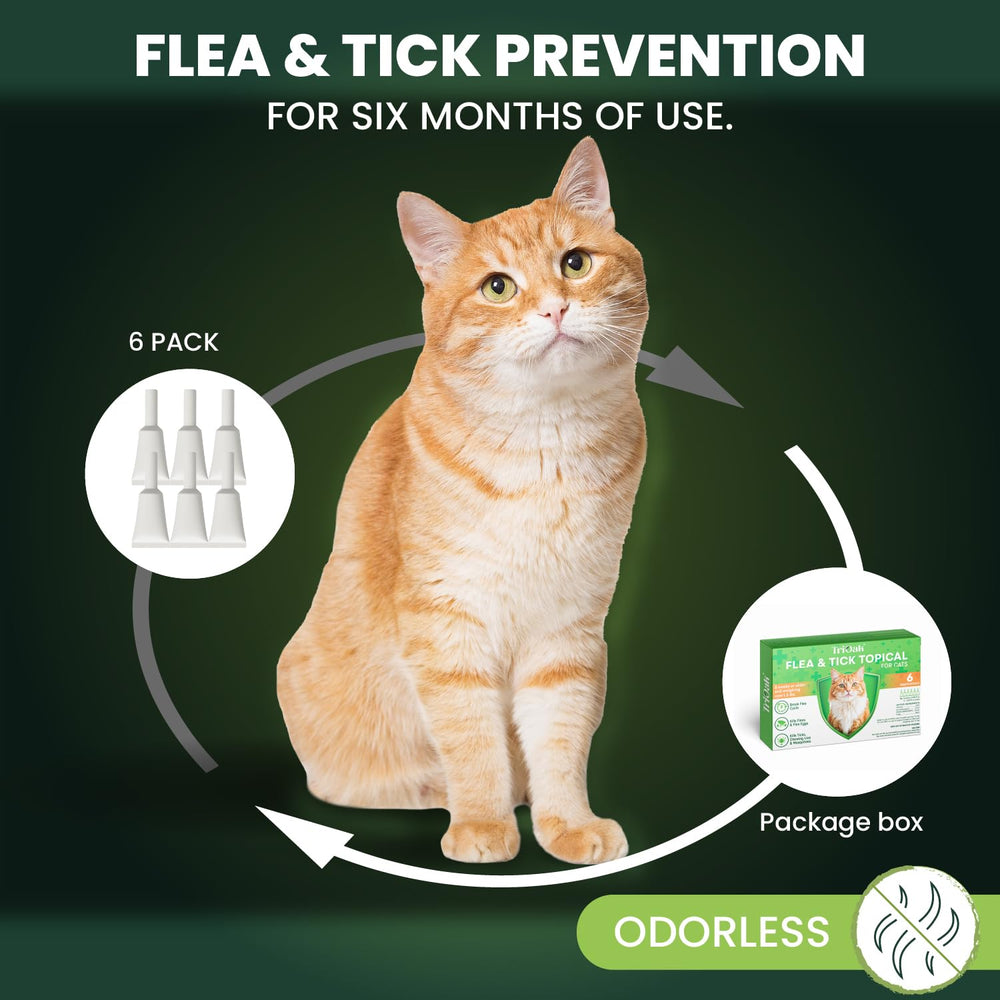 TriOak quick-drying texture image conveys fast absorption after application