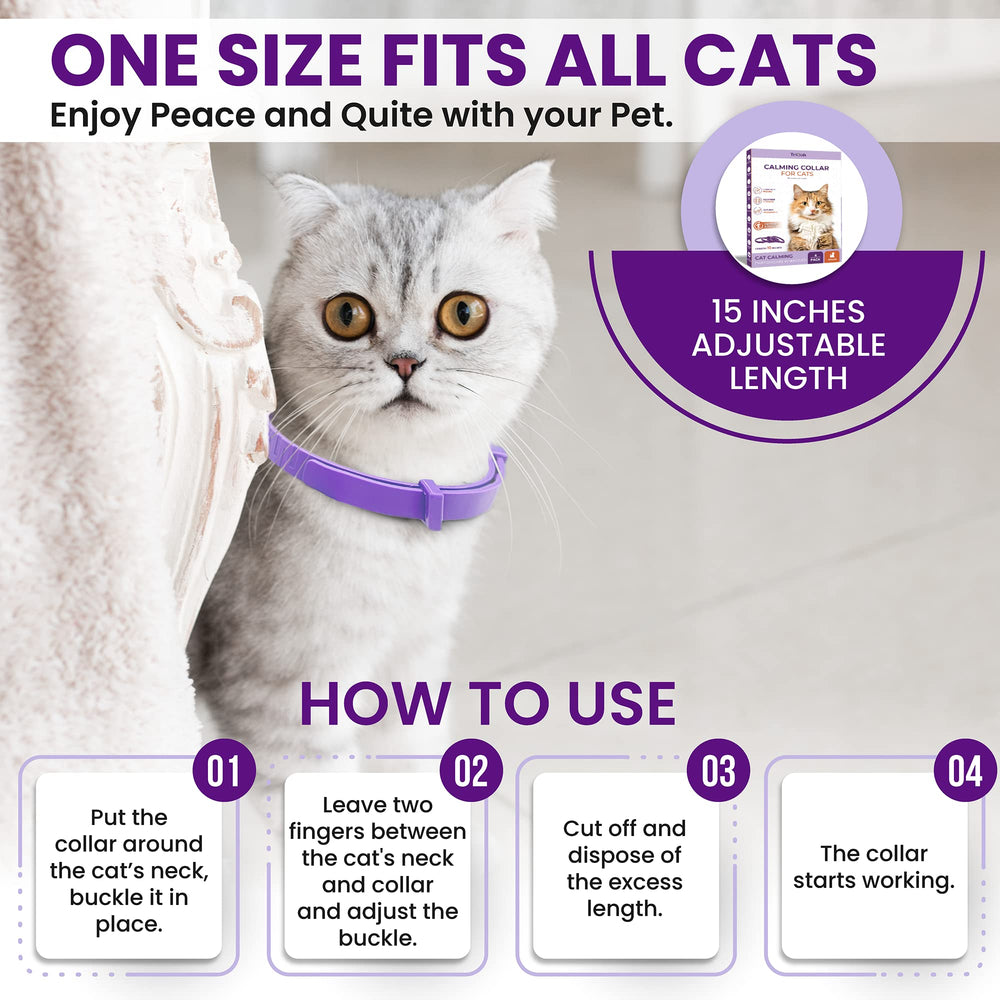 TriOak travel-ready cat collar suitable for vet visits and moves.