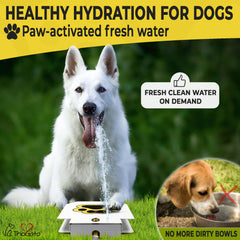 Trio Gato water hose connection enables continuous fresh water for pets.