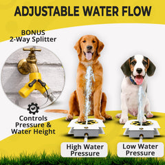 Trio Gato quick-training paw pedal makes hydration easy for dogs.