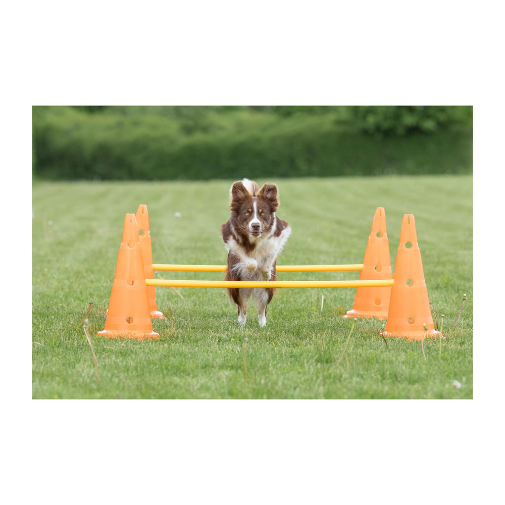 TRIXIE crossbar height adjustment enables easy progression from beginner to advanced training.