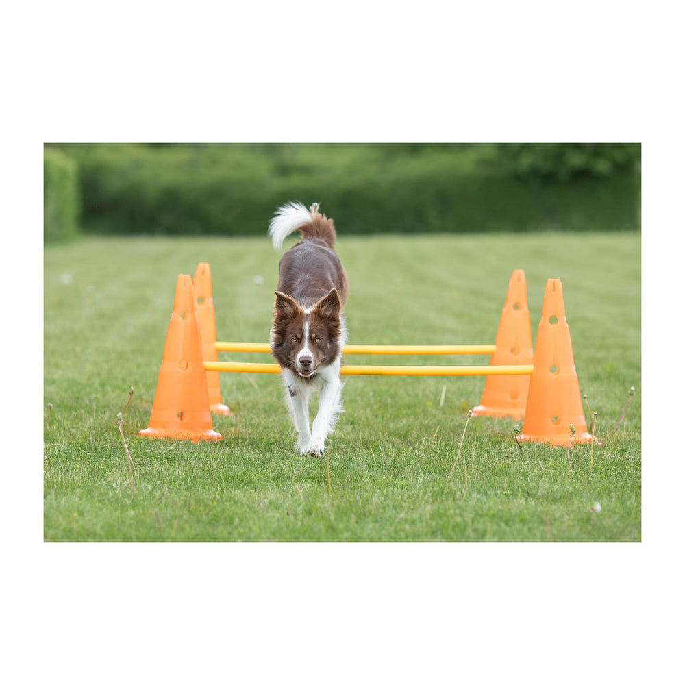 TRIXIE hurdle suitable for indoor and outdoor use on any surface.
