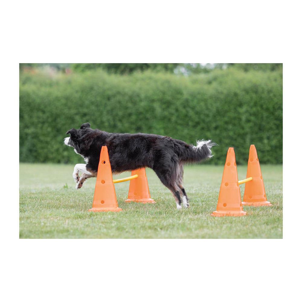TRIXIE quick assembly design saves setup time for indoor and outdoor sessions.