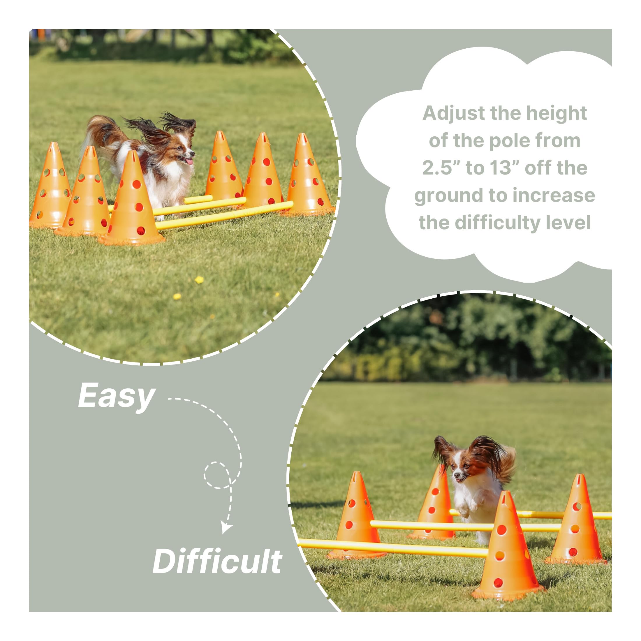 TRIXIE training booklet offers practical tips to kickstart your sessions.