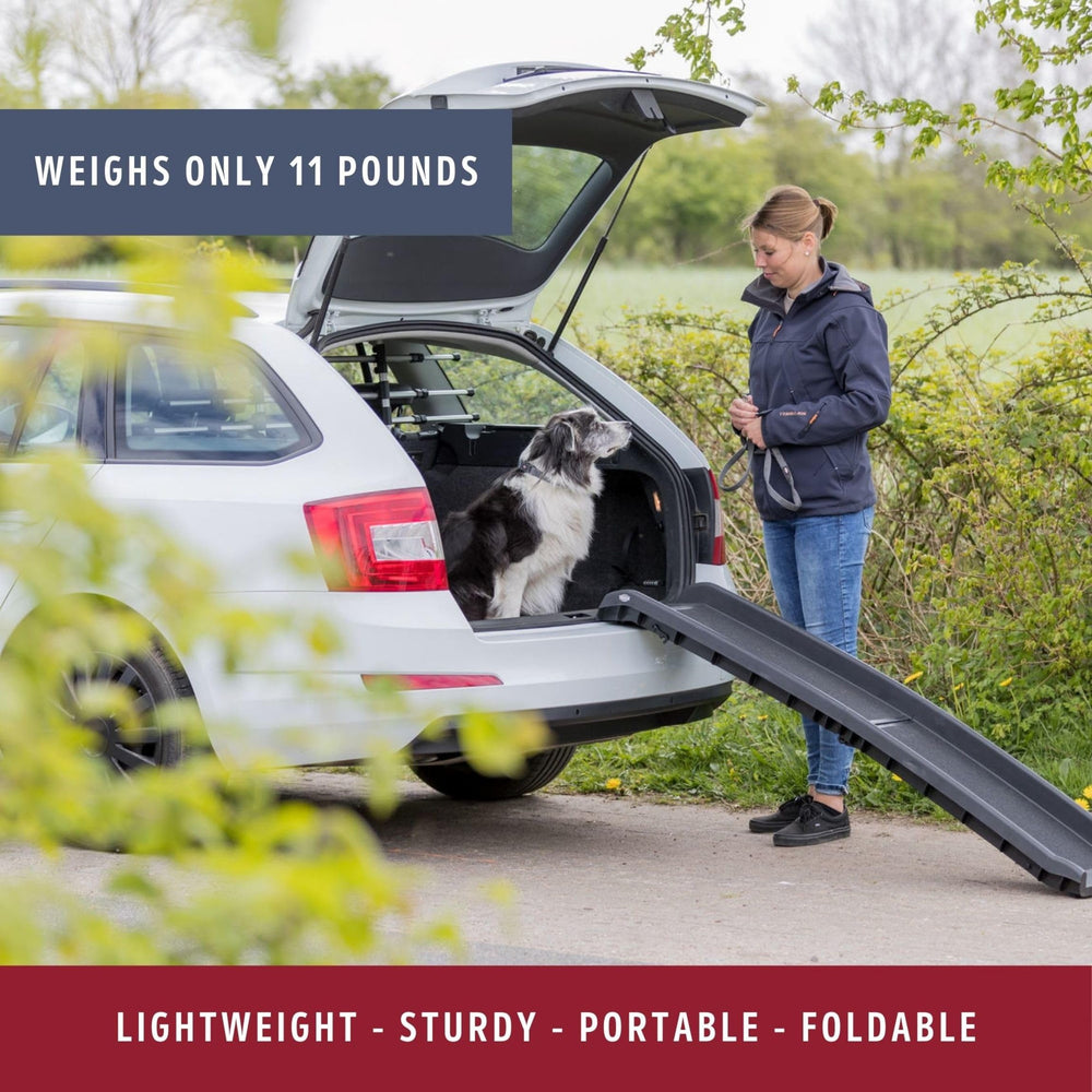 TRIXIE durable lightweight dog ramp designed for outdoor trips.