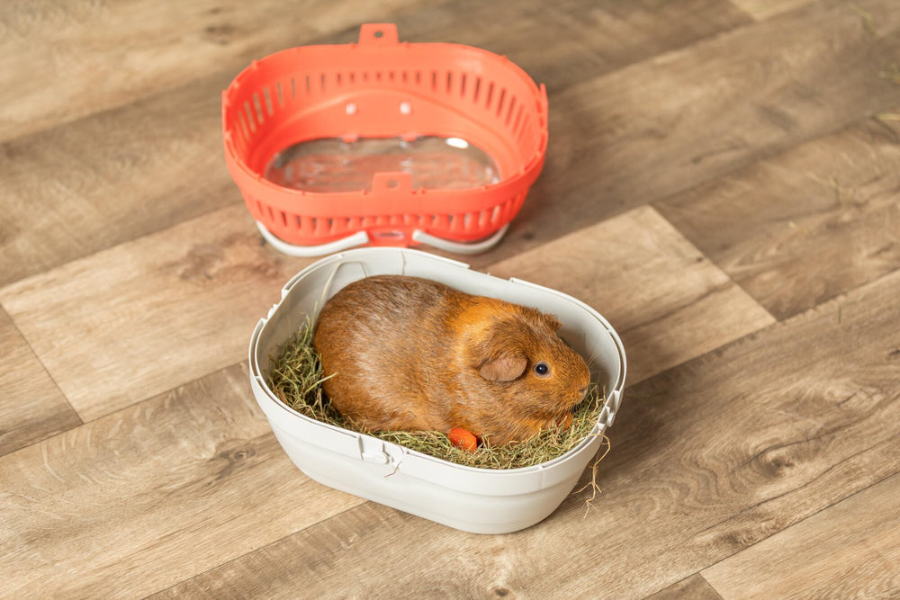 TRIXIE Pico transport crate easy-clean interior simplifies maintenance