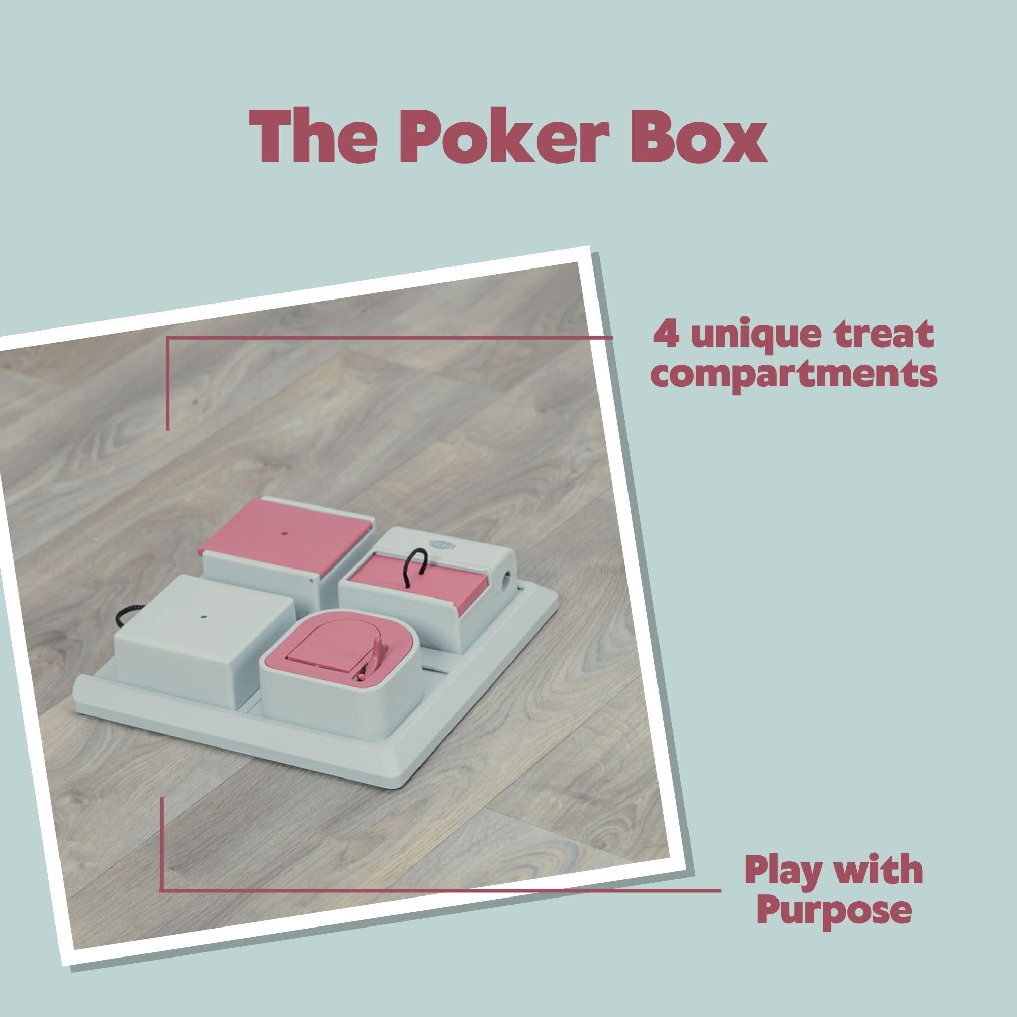 TRIXIE Poker Box cat interaction close-up displays focus and curiosity.