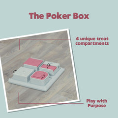 TRIXIE Poker Box cat interaction close-up displays focus and curiosity.