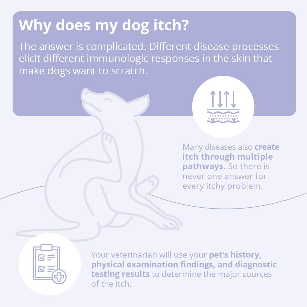TrizCHLOR 4 Shampoo 16 oz packaging, easy to measure and use.
