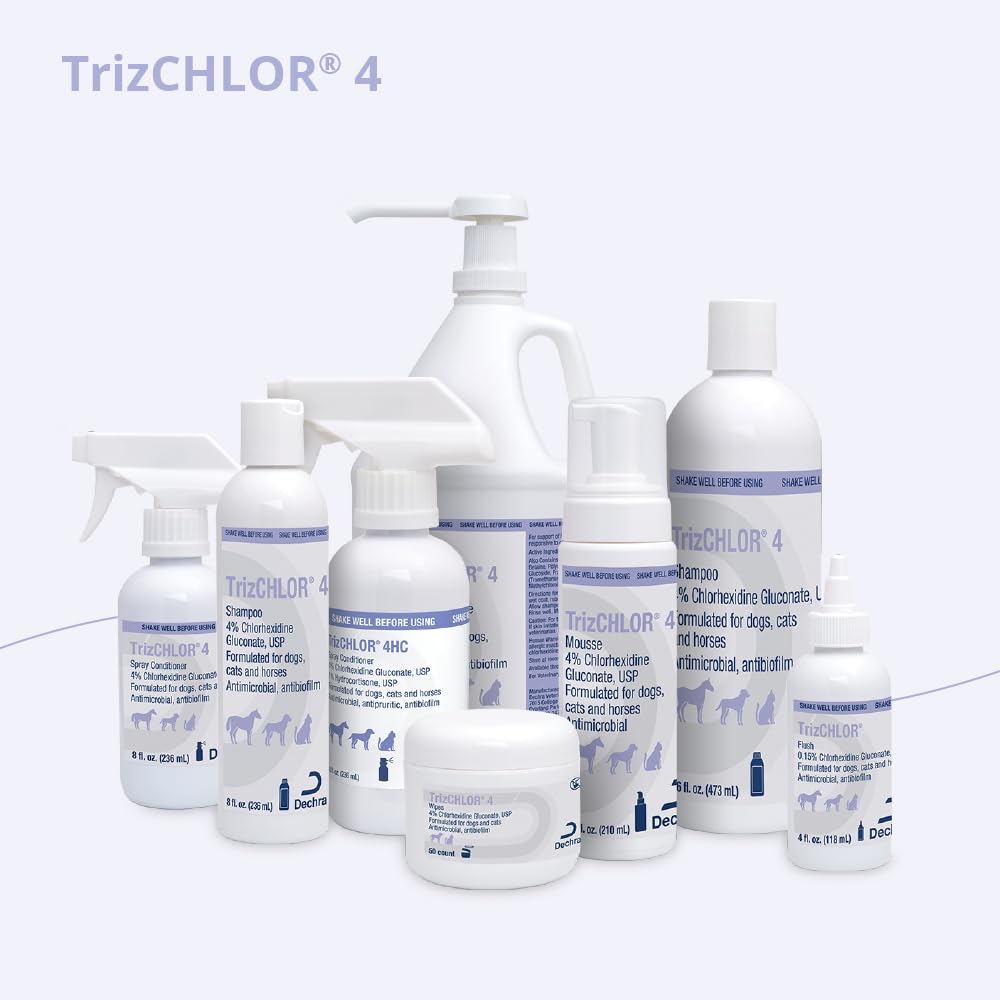 TrizCHLOR 4 Shampoo in use during dog bath for cleansing coat.