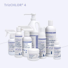 TrizCHLOR 4 Shampoo in use during dog bath for cleansing coat.
