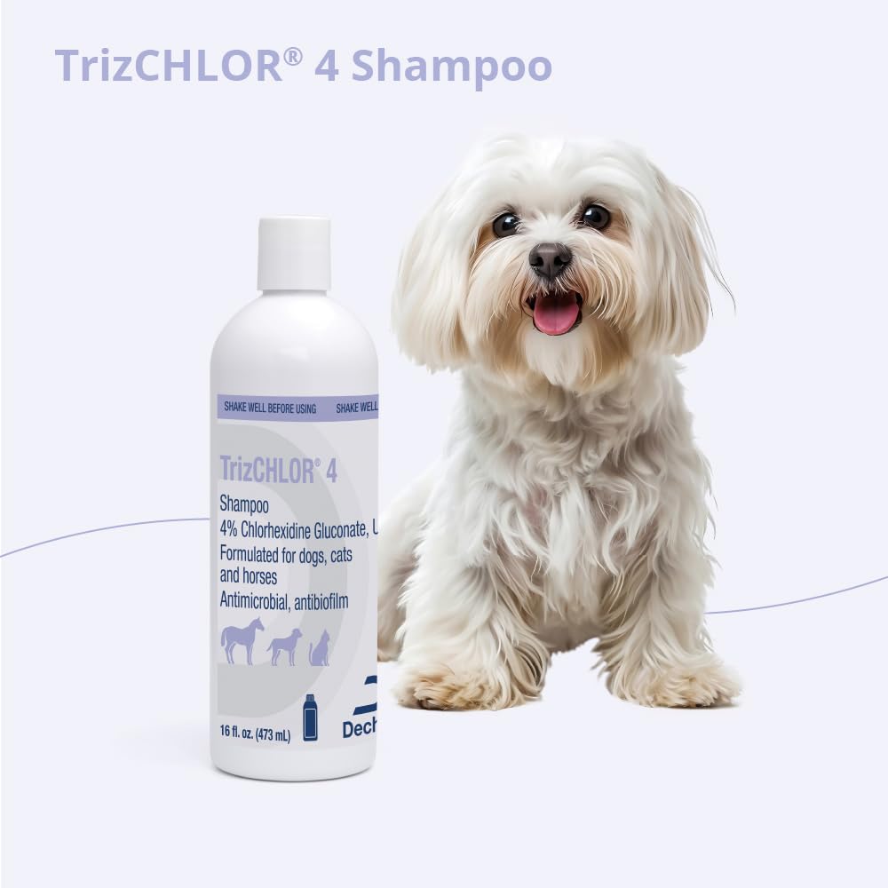 TrizCHLOR 4 Shampoo label closeup, clear instructions for pet care.
