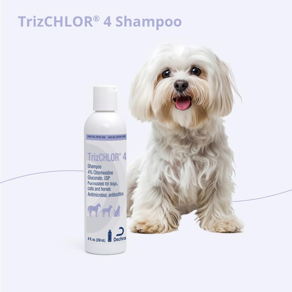 TrizCHLOR 4 Shampoo bottle weight in hand.