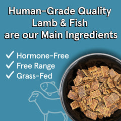 TRMC Air-dried lamb-fish kibble closeup showing bite-sized pieces for easy feeding.