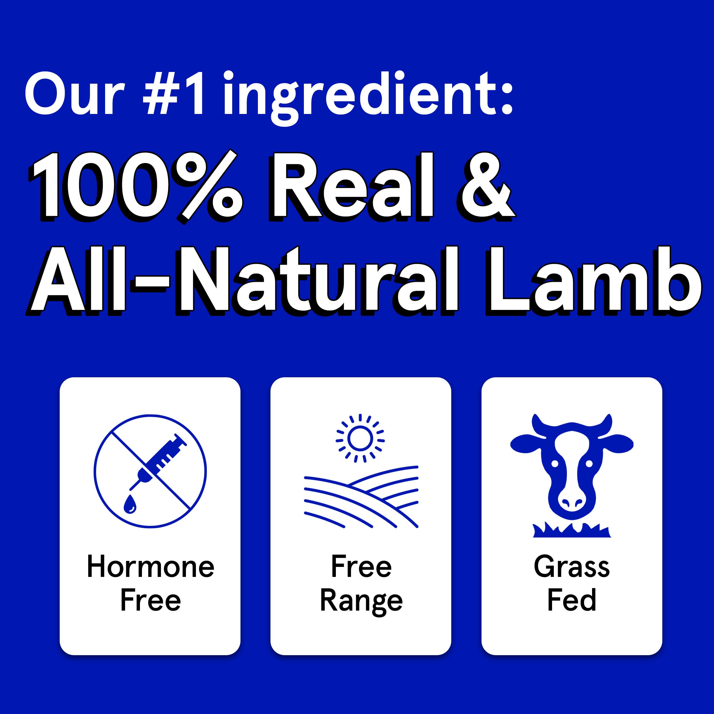 TRMC Air-dried lamb jerky for dogs, bite-sized treats for training
