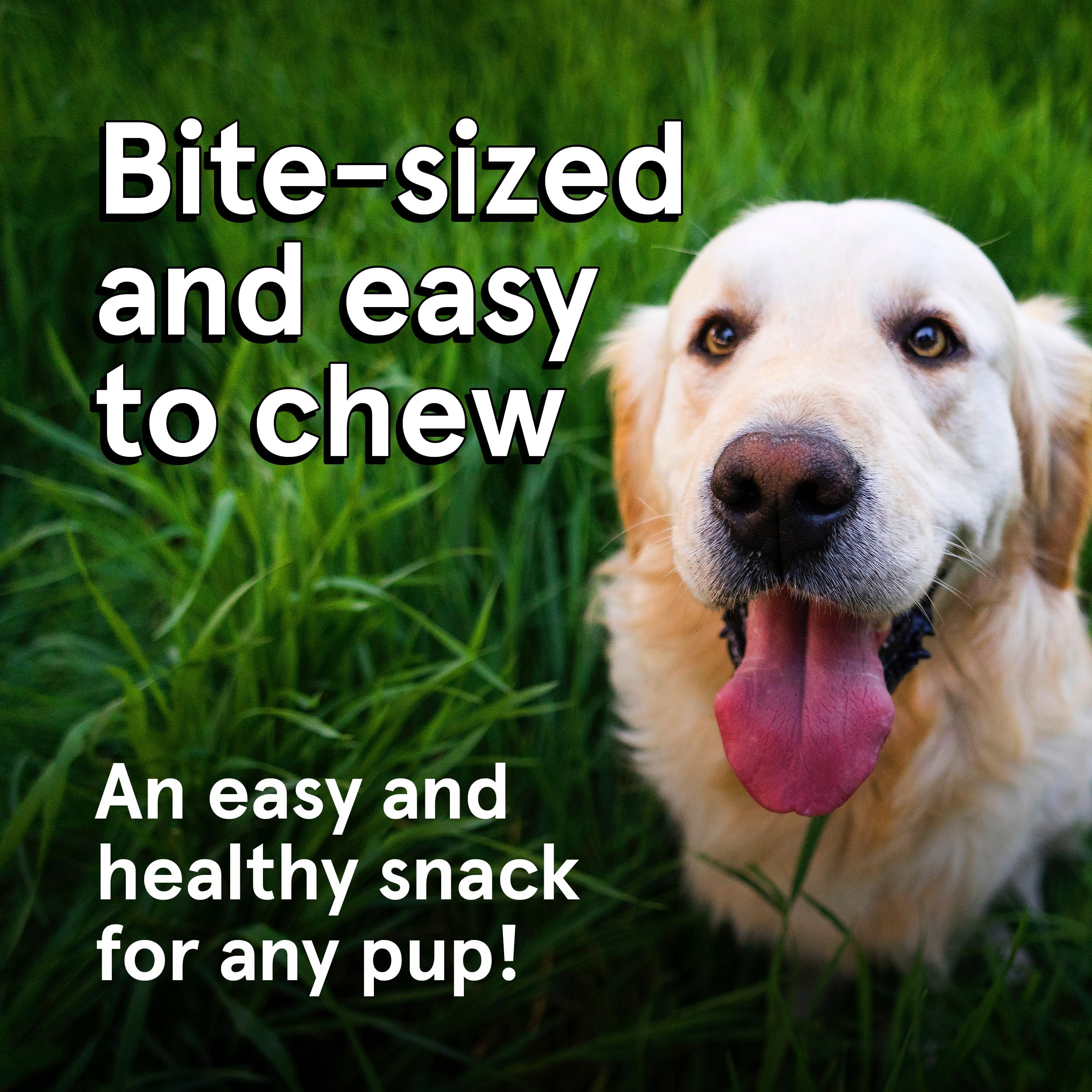TRMC Free-range grass-fed lamb, grain-free dog treats, easy to digest