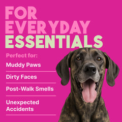 TropiClean Deep Cleaning Pet Wipes reduce dander and odors between baths.
