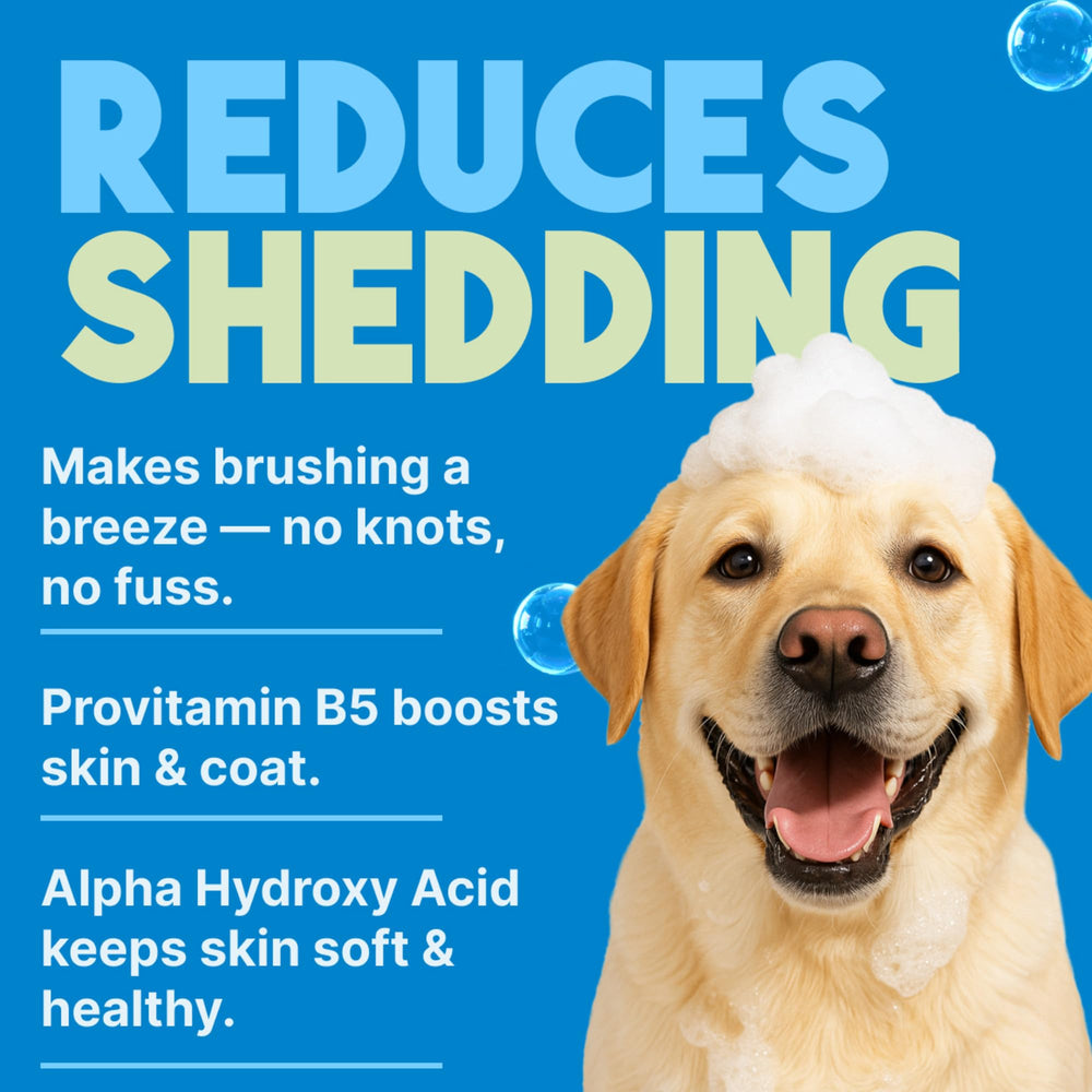 TropiClean Deshedding Dog Shampoo foam is easy to rinse after bath time.