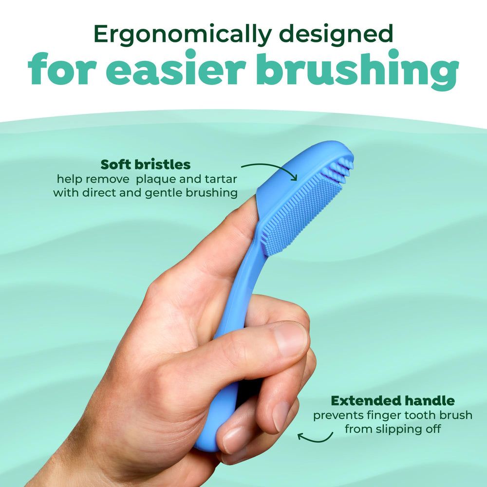Dog brushing session using the TropiClean kit illustrates an easy daily routine.