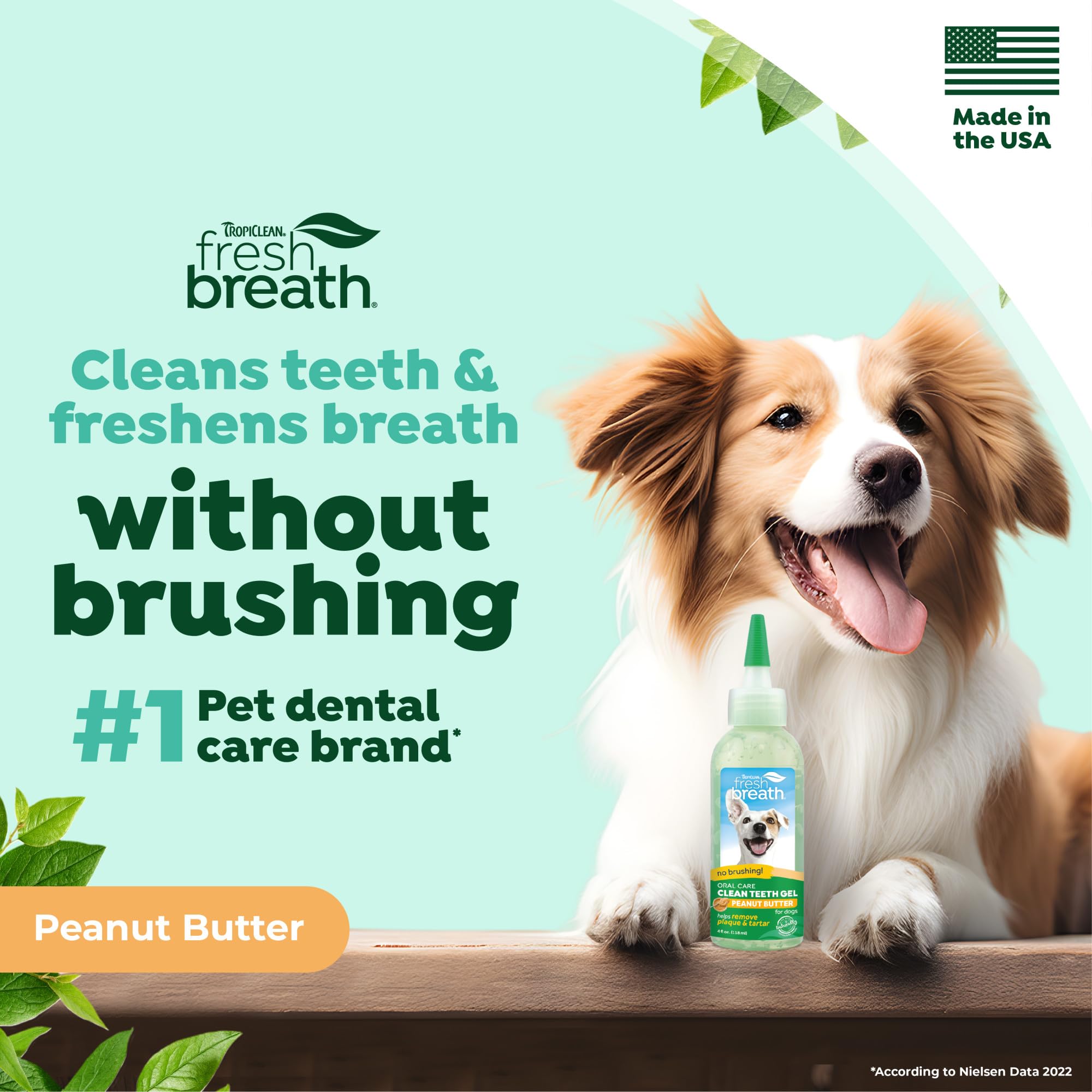 TropiClean no-brush application for dog teeth cleaning and breath refresh.