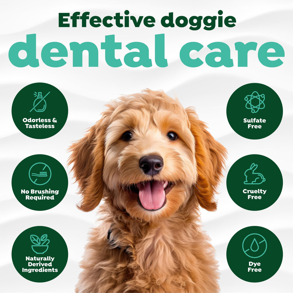 TropiClean Fresh Breath Advanced dog drinking water after dosing for a cleaner mouth.