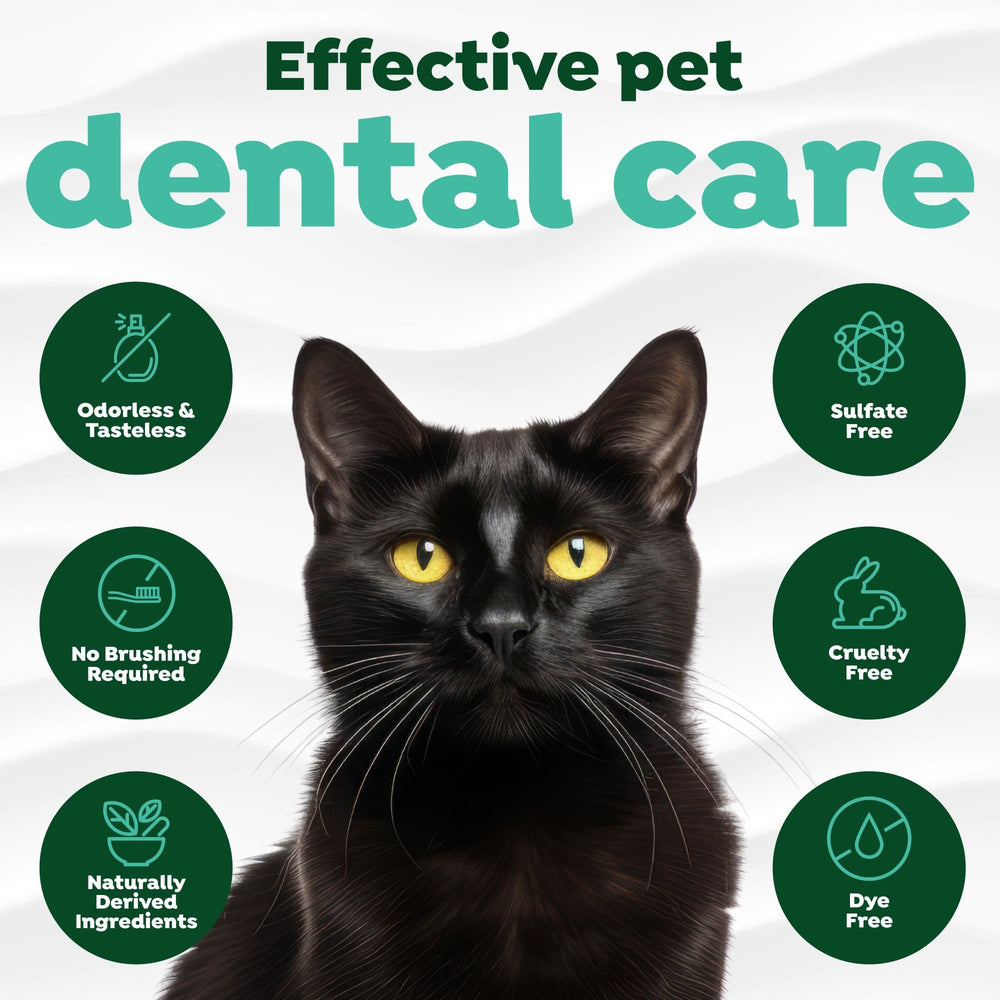 TropiClean Fresh Breath Cat Dental Water Additive provides complete oral care daily
