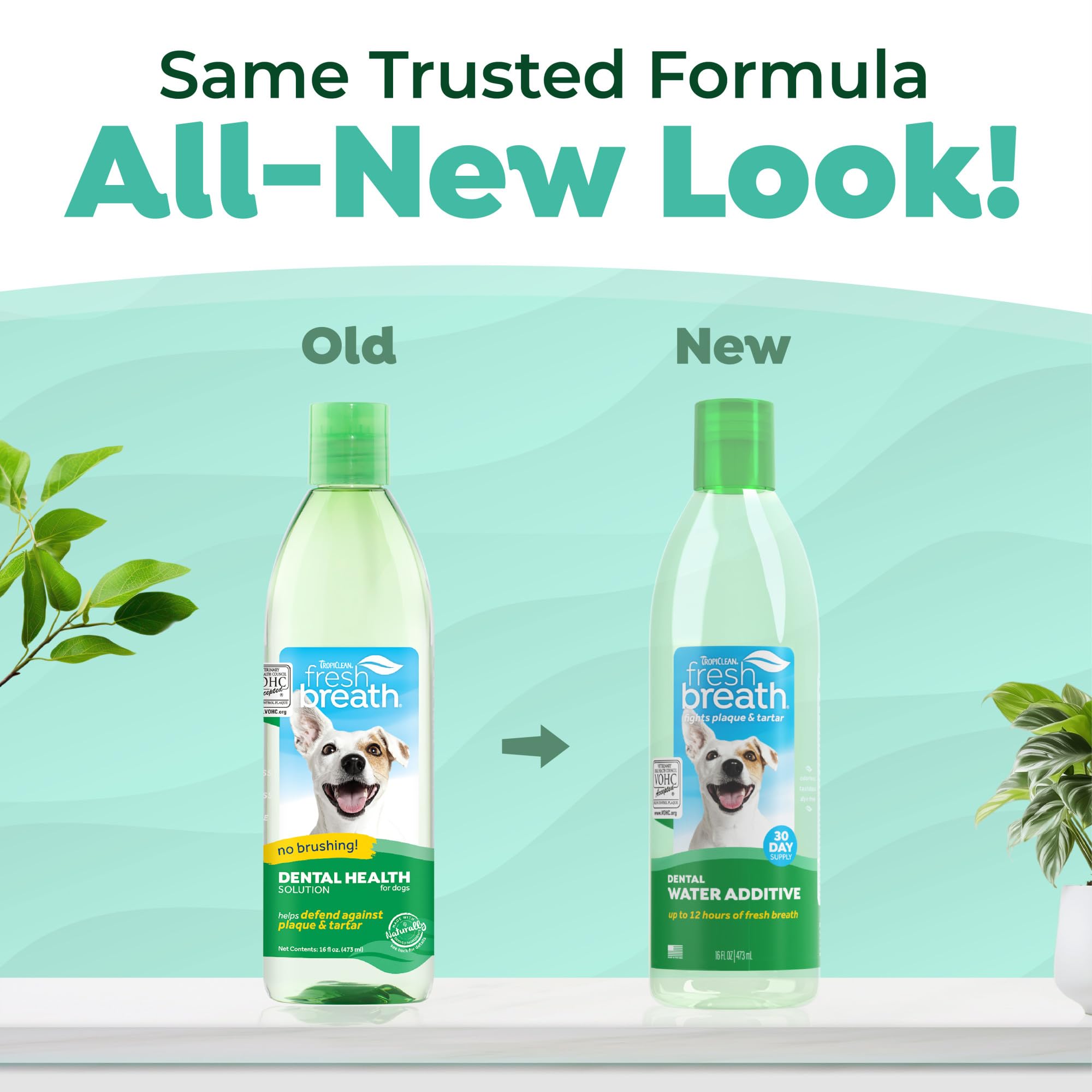Pour TropiClean Fresh Breath Water Additive into a dog's water bowl for ongoing freshness.