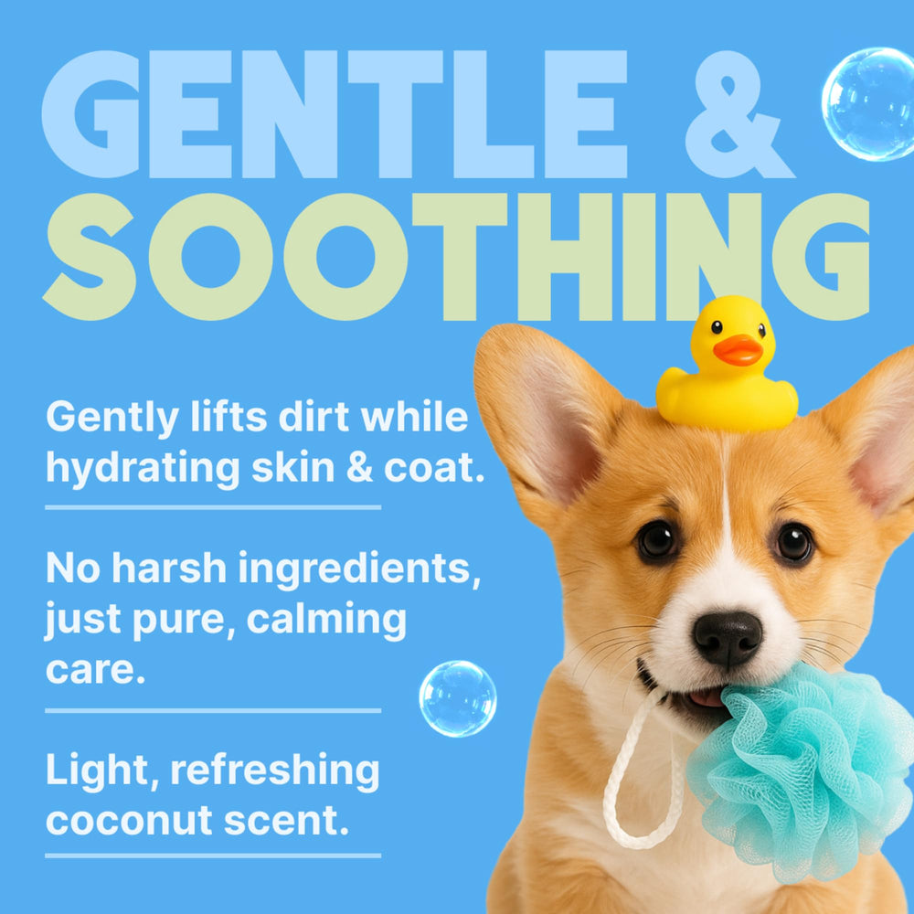 TropiClean Gentle Puppy Shampoo coconut scent leaves a light aroma.