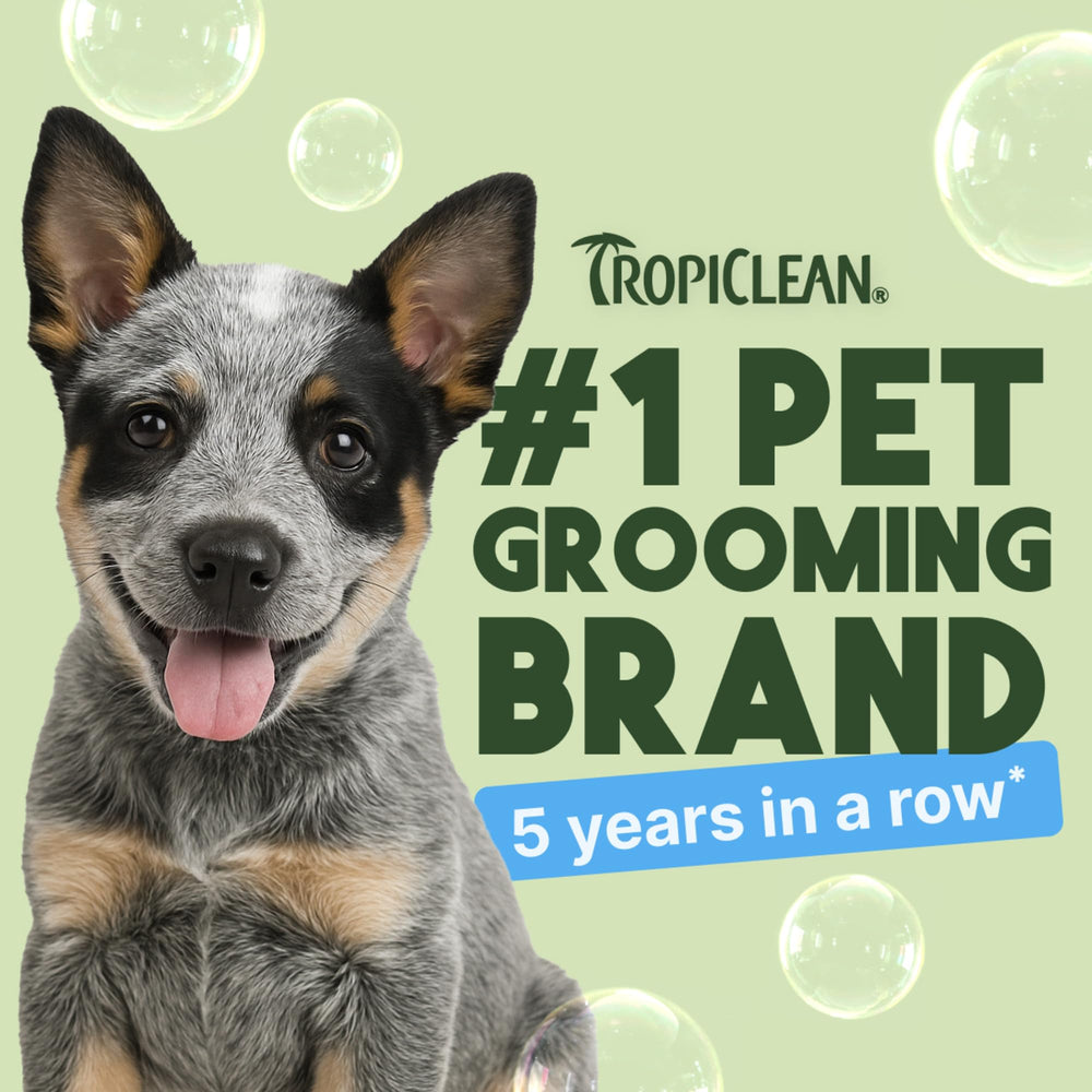 TropiClean Gentle Puppy Shampoo with oatmeal and aloe soothing the skin.
