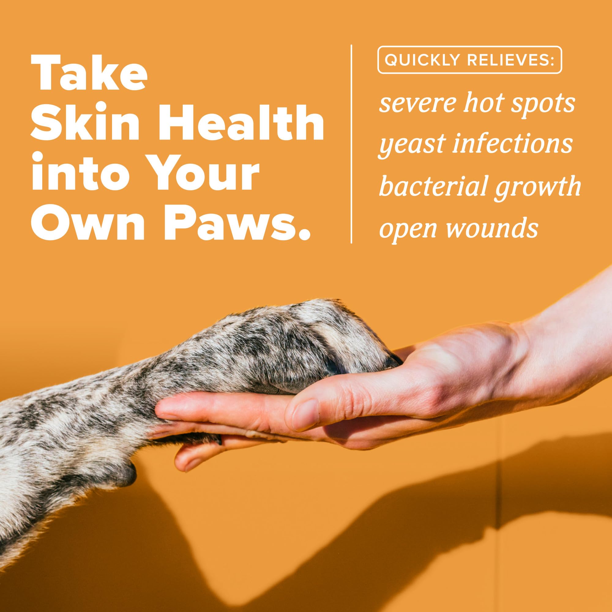 Close-up of a dog hot spot being treated with TropiClean HomeVet.