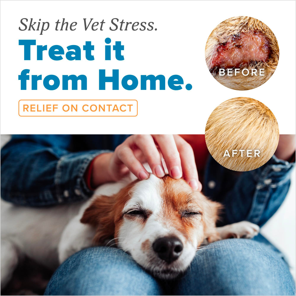 Skin irritation before and after TropiClean HomeVet soothing application.