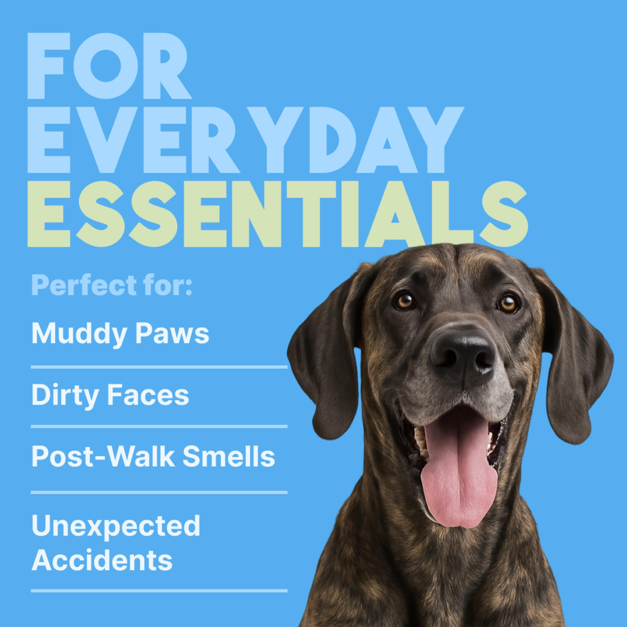 TropiClean wipe used on a pet's bottom after outdoor adventures.