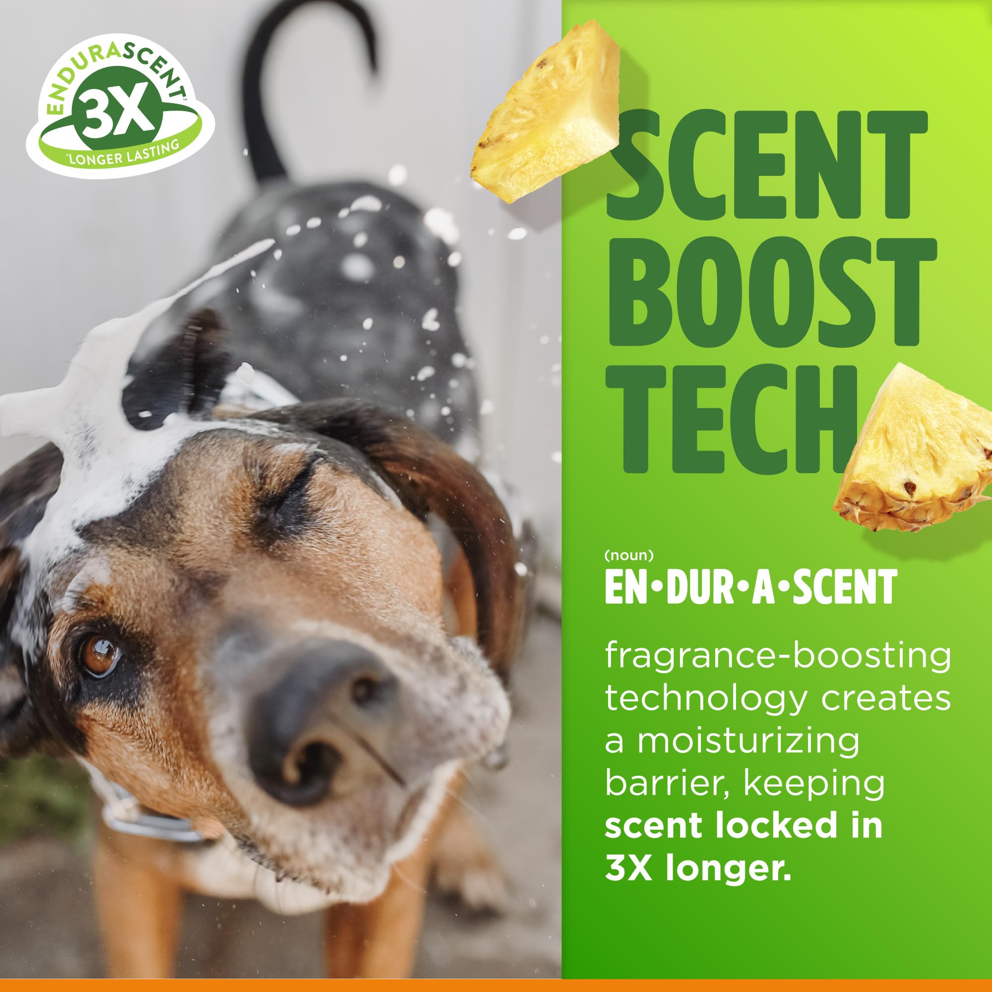 TropiClean Itch Relief Shampoo nutrient boost with ProVitamin B5 and Aloe