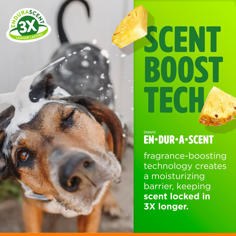 TropiClean Itch Relief Shampoo nutrient boost with ProVitamin B5 and Aloe