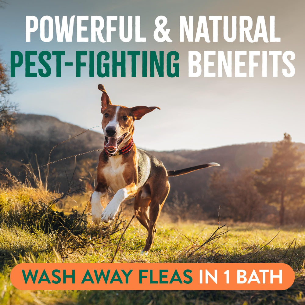 TropiClean Max Strength dog bath scene during outdoor adventures.