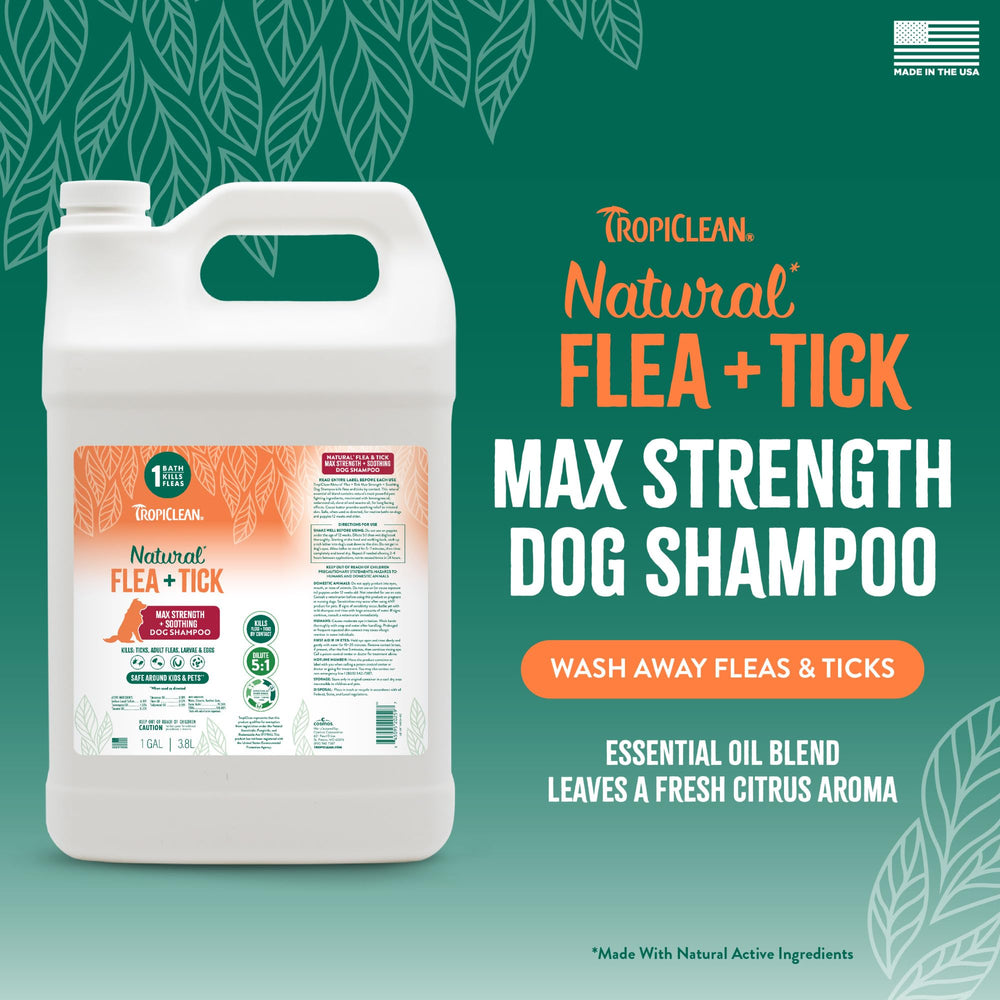 TropiClean Max Strength shampoo lather on dog for deep cleansing.