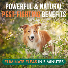TropiClean indoor-outdoor spray—safe around pets and kids for whole-home protection.