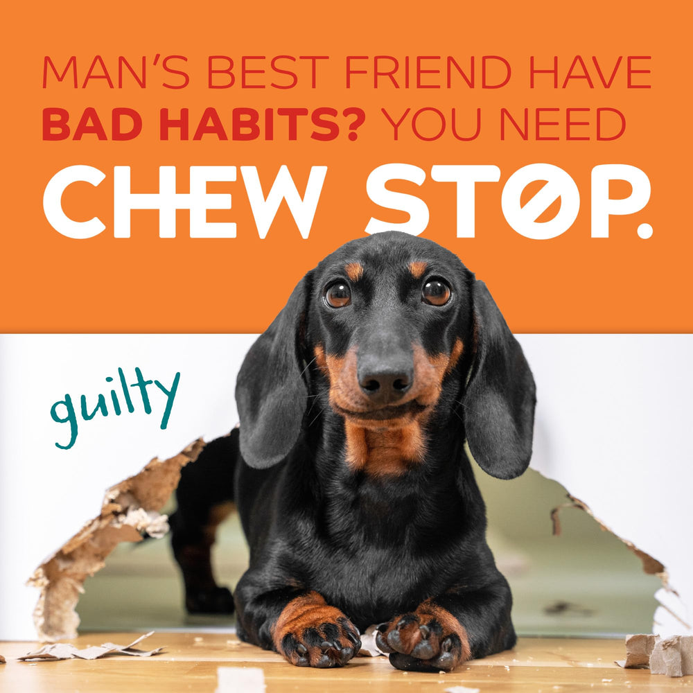 TropiClean No Chew Spray on furniture to protect from chewing.