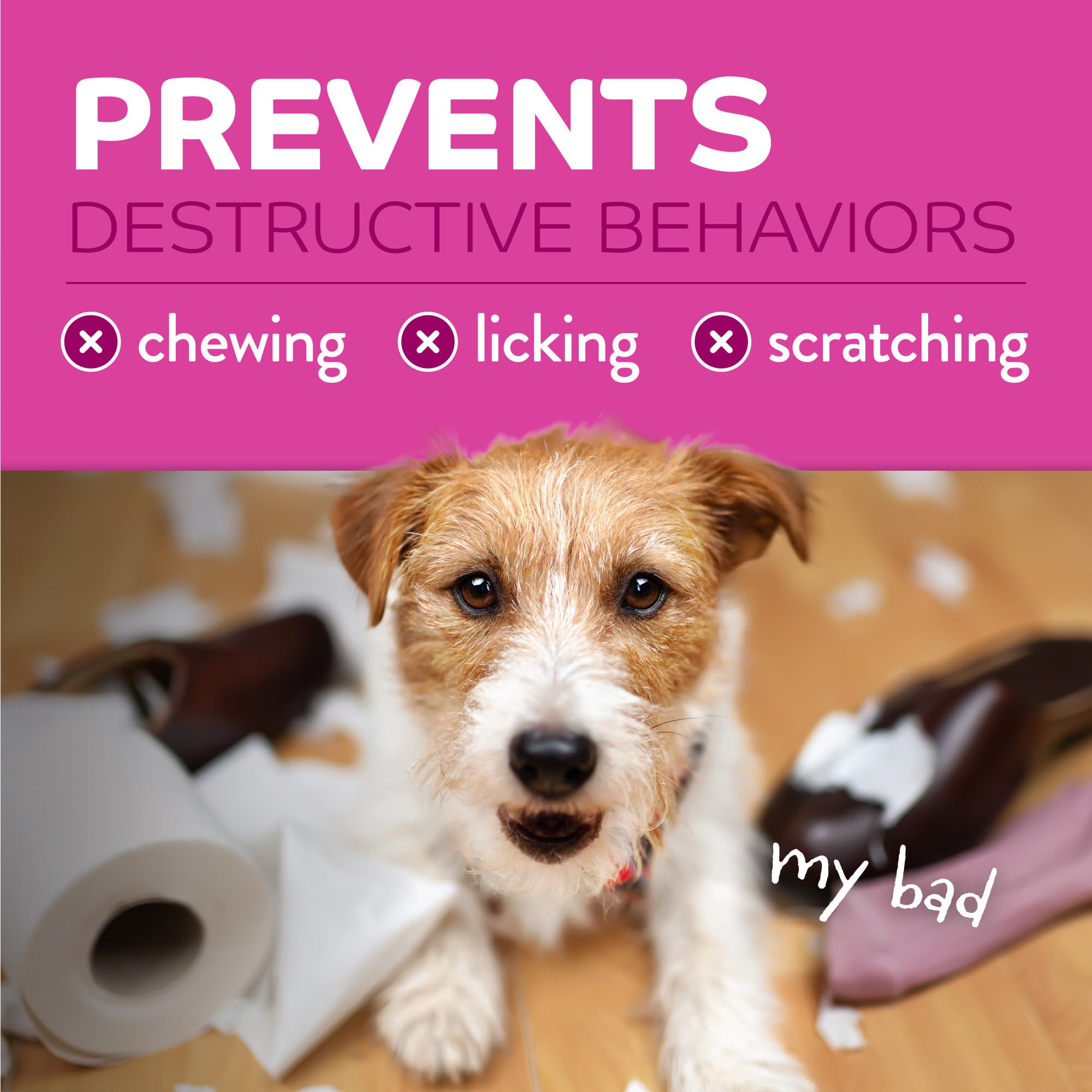 TropiClean No Chew Spray applied to a dog's skin area for targeted deterrence.