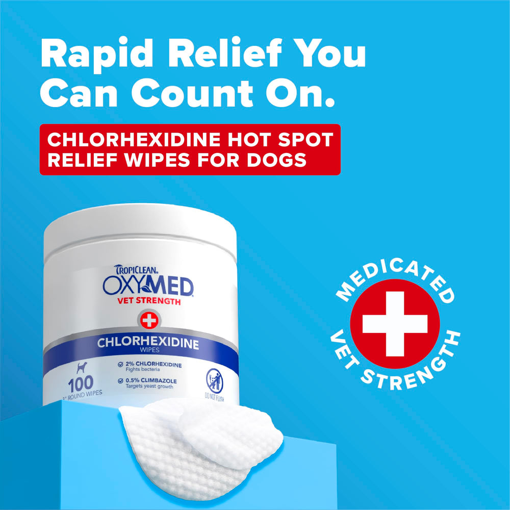 TropiClean OxyMed wipes on facial folds for quick, gentle cleansing.