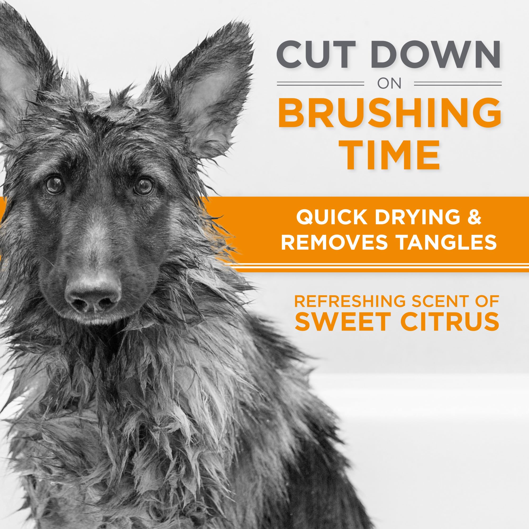 TropiClean Perfect Fur with potato protein nourishes double coats.
