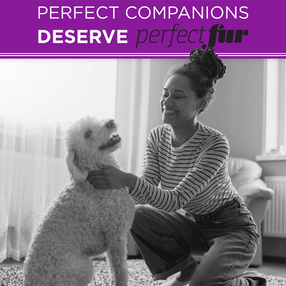 TropiClean Perfect Fur doodles and poodles coat care closeup