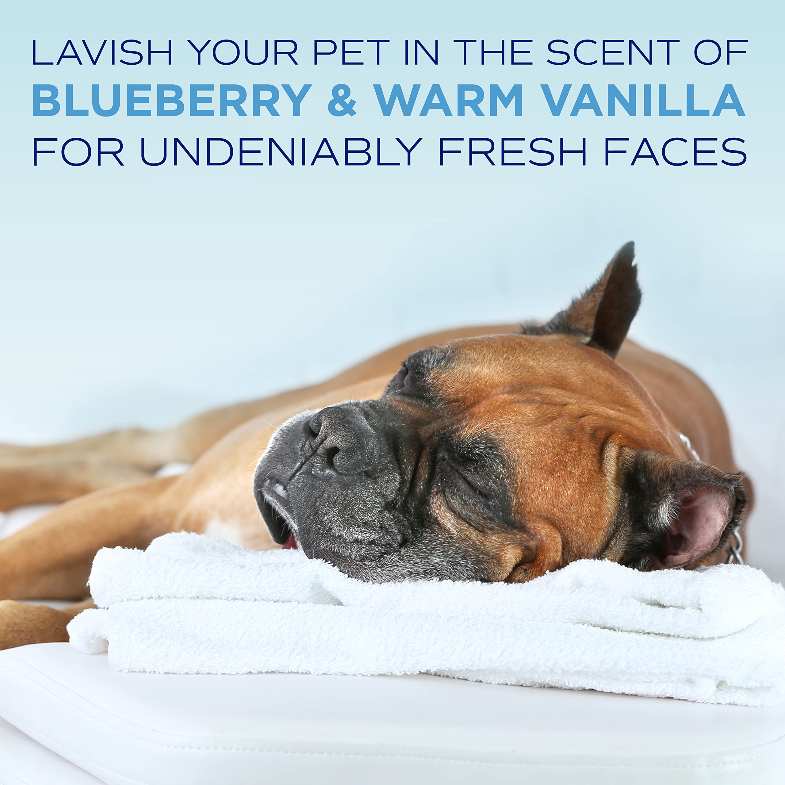 TropiClean SPA whitening and brightening effect on light fur.