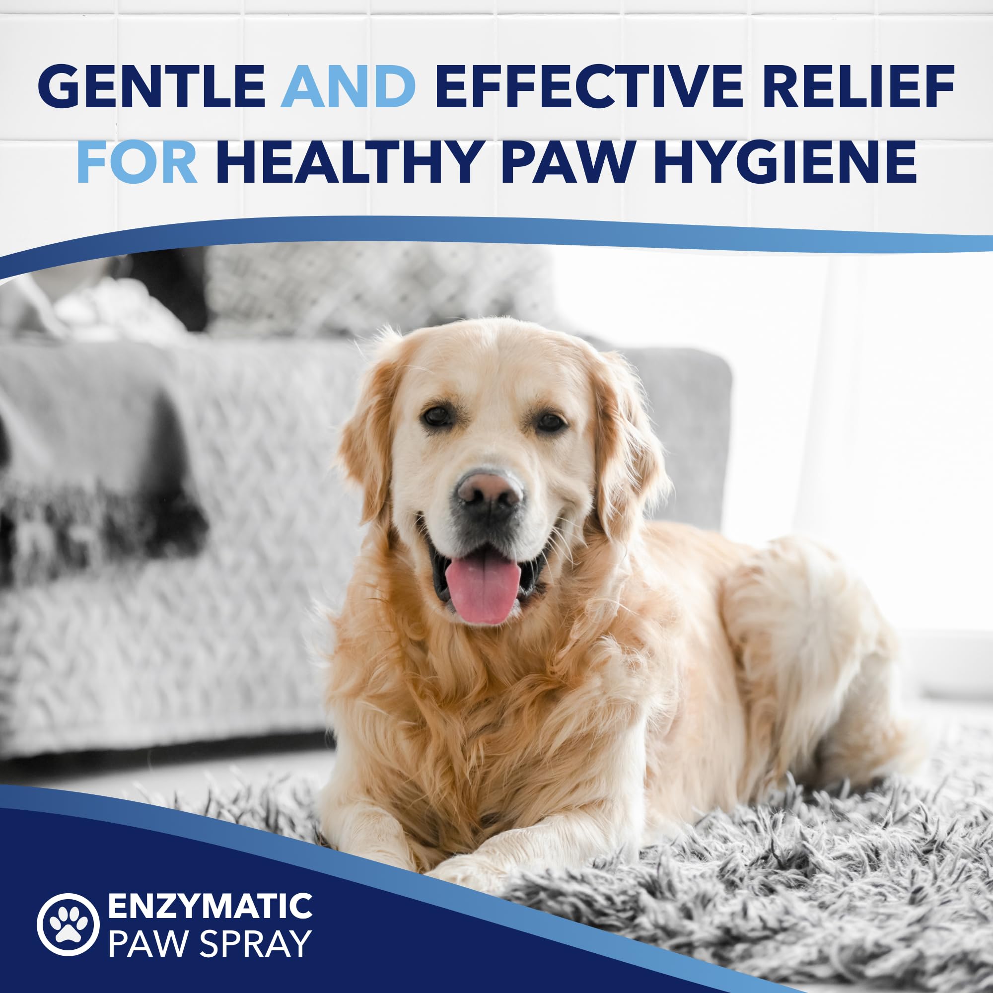 USA-made OxyMed paw spray with vet-informed guidance for pet owners.