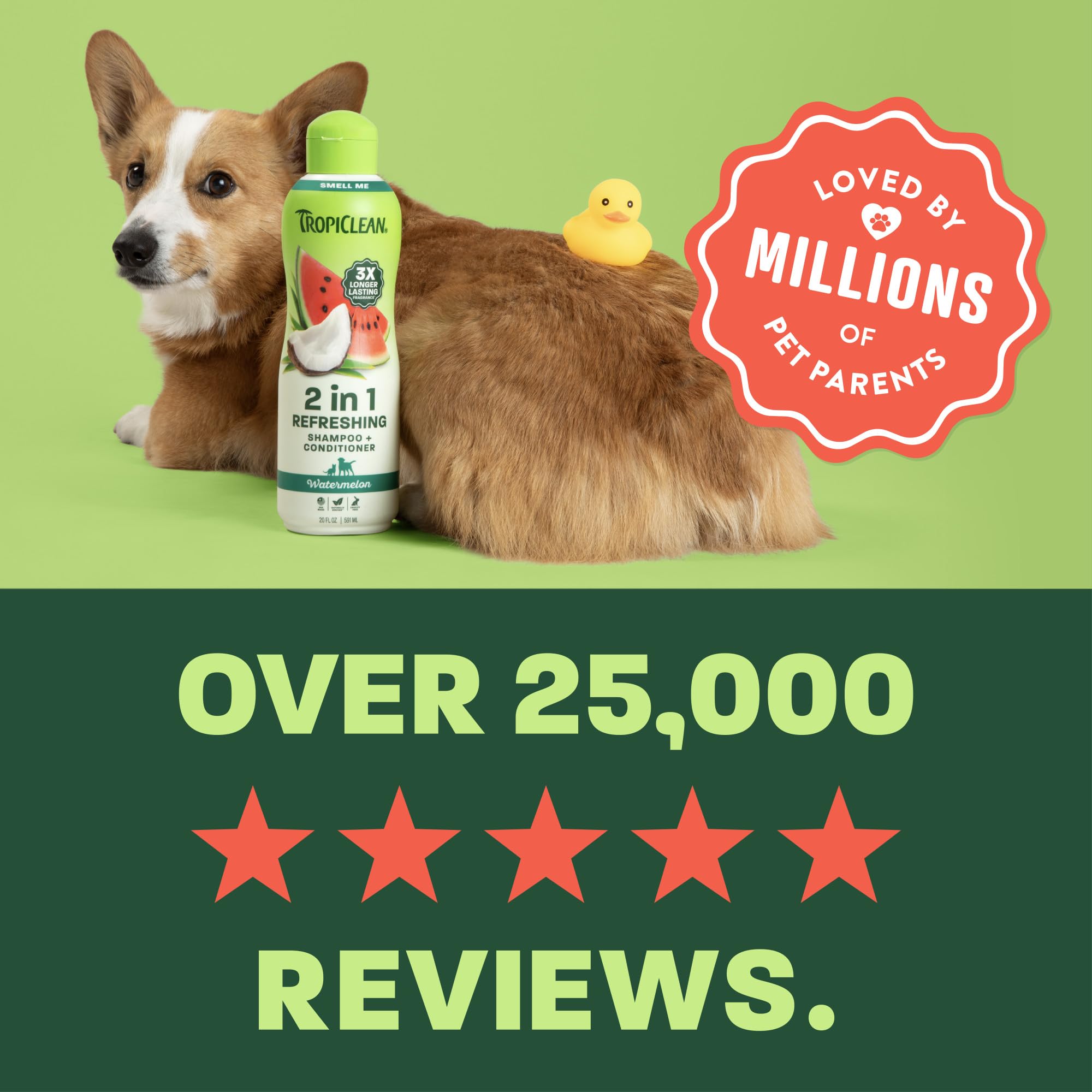 TropiClean Watermelon 2-in-1 pet after outdoor play ready for grooming.