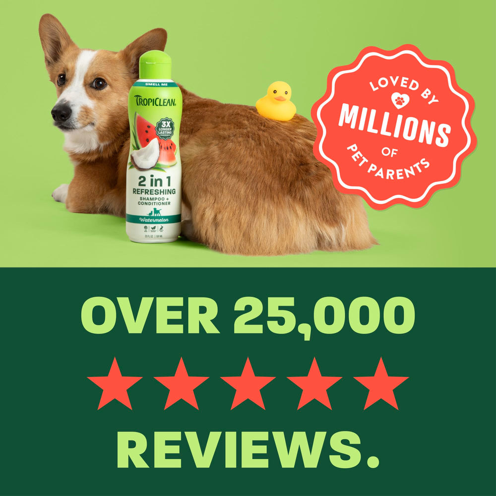 TropiClean Watermelon 2-in-1 pet after outdoor play ready for grooming.