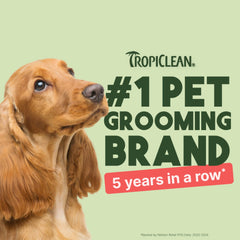 TropiClean Watermelon Wipes for bottom: easy cleanup and fresh scent after messes.