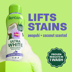 TropiClean Whitening Dog Shampoo lather on a dog demonstrates deep cleaning.
